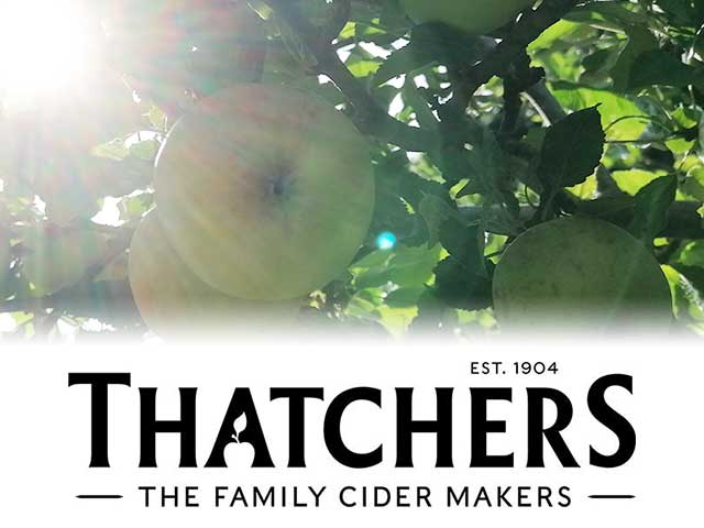 The Thatchers logo overlaid onto an image of an apple tree